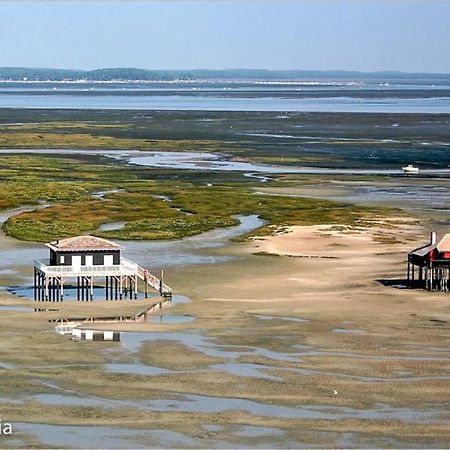 Apartment T2 Full City Centre With Parking 500M From The Beach Arcachon Exterior foto